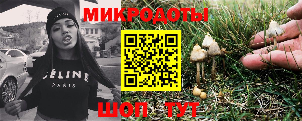 купить  сайты  Псилоцибиновые грибы MAGIC MUSHROOMS  Вход с VPN  Псков 